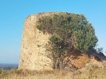 Moínho das Amendoeiras at Alta Mora