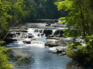 Aysgarth Falls, Yorkshire