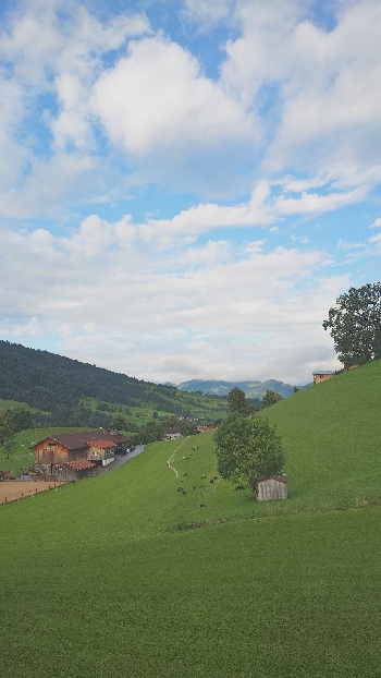 Morning view from hotel balcony at Bad Hindelang
