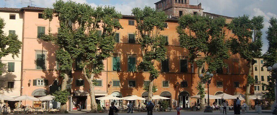 Lucca Piazza