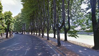 The tree lined avenue Viale Carlo del Prete in Lucca Italy